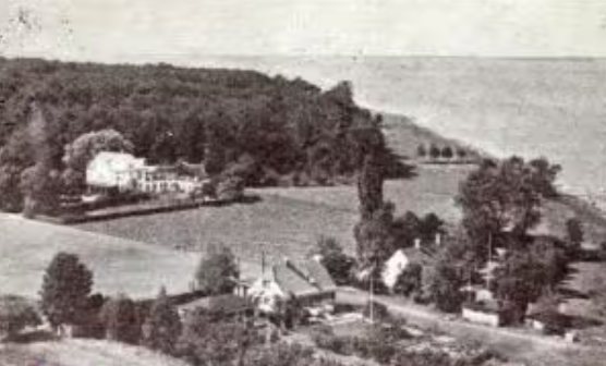 sortsoe